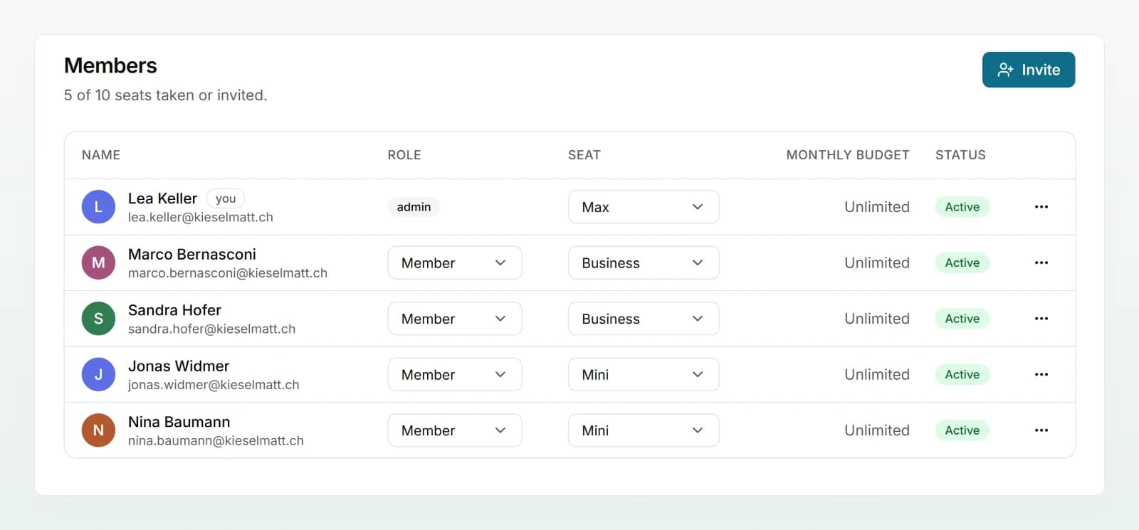 The “Members” page with a table of everyone’s role, seat, monthly budget and status, and the “Invite” button.