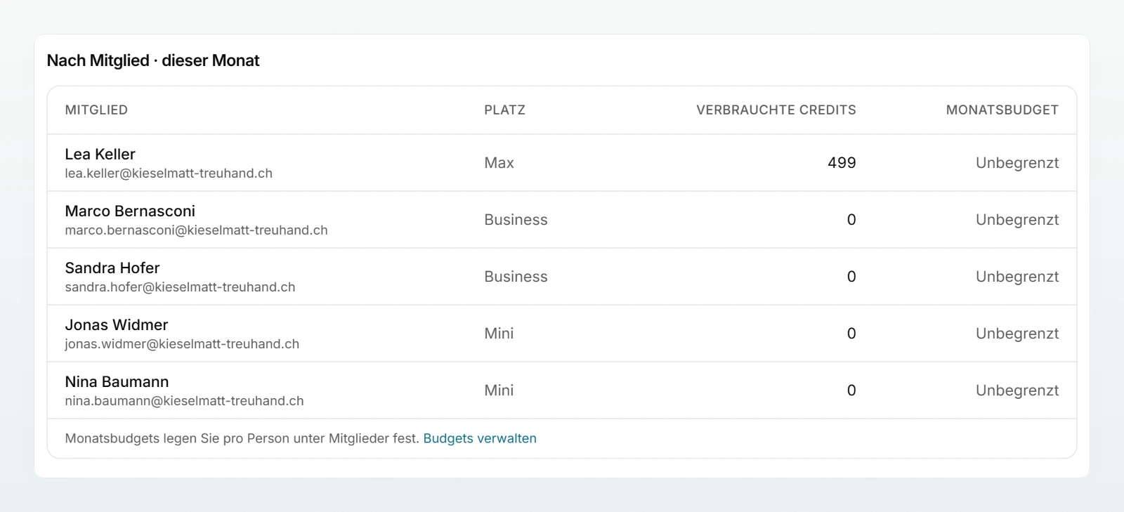 Die Tabelle «Nach Mitglied · dieser Monat» mit Platz, verbrauchten Credits und Monatsbudget jeder Person.