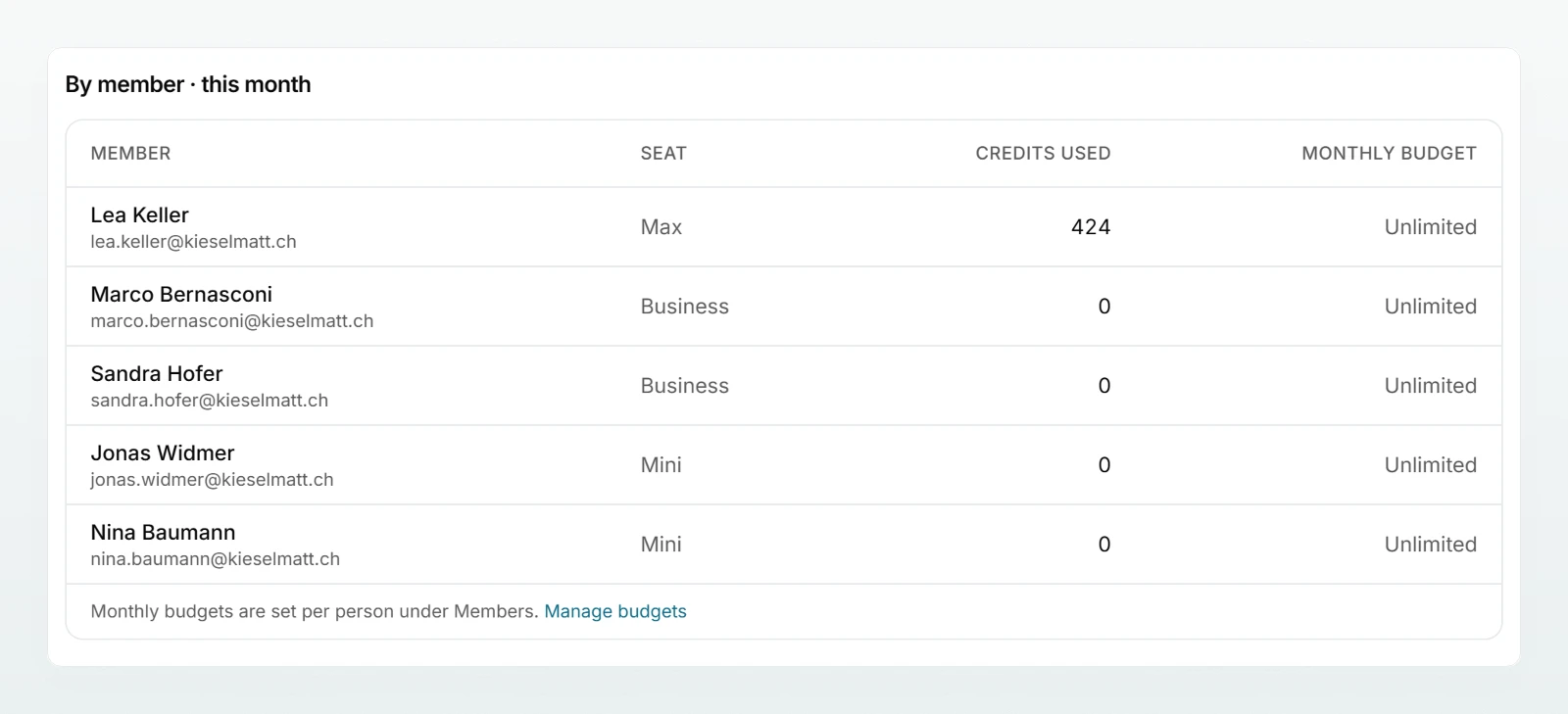 The “By member · this month” table with each person’s seat, credits used and monthly budget.